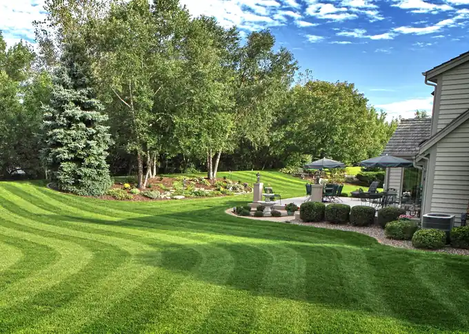 Green residential street with maintained lawns and gardens in the Lower Mainland